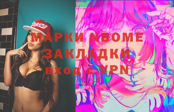 соль ск Дмитриев