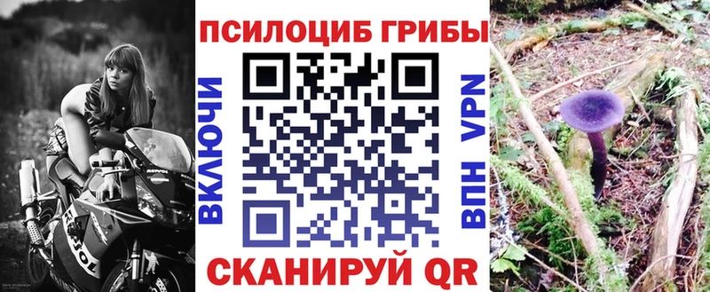Галлюциногенные грибы Psilocybine cubensis  купить наркоту  Петровск-Забайкальский 
